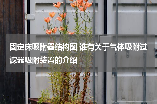 固定床吸附器结构图 谁有关于气体吸附过滤器吸附装置的介绍