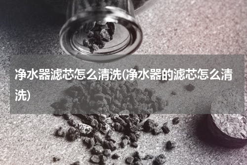 净水器滤芯怎么清洗(净水器的滤芯怎么清洗)