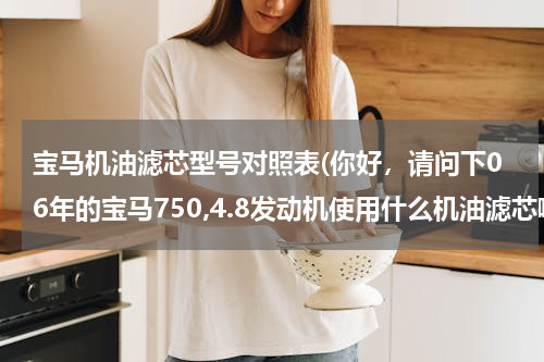 宝马机油滤芯型号对照表(你好，请问下06年的宝马750,4.8发动机使用什么机油滤芯啊)