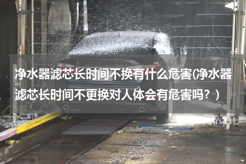 净水器滤芯长时间不换有什么危害(净水器滤芯长时间不更换对人体会有危害吗？)