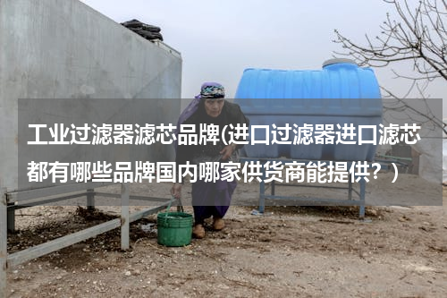 工业过滤器滤芯品牌(进口过滤器进口滤芯都有哪些品牌国内哪家供货商能提供？)