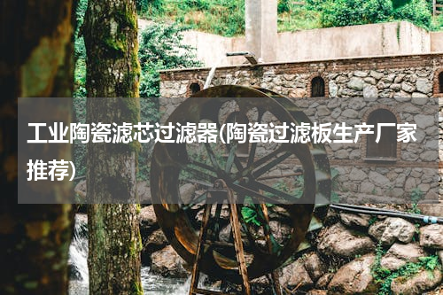 工业陶瓷滤芯过滤器(陶瓷过滤板生产厂家推荐)
