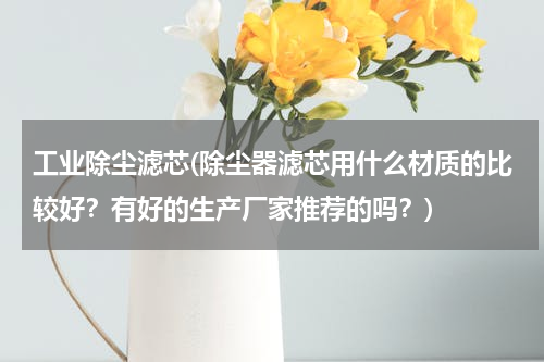 工业除尘滤芯(除尘器滤芯用什么材质的比较好？有好的生产厂家推荐的吗？)