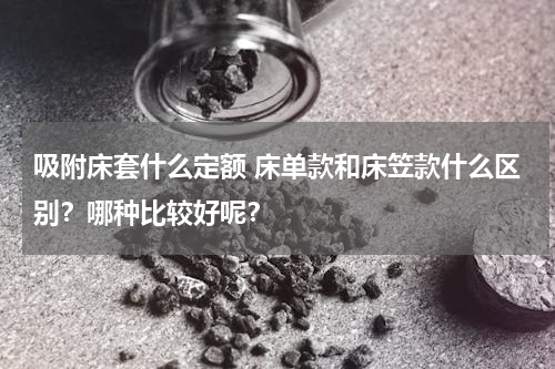 吸附床套什么定额 床单款和床笠款什么区别？哪种比较好呢？