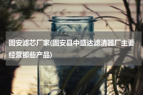 固安滤芯厂家(固安县中盛达滤清器厂主要经营那些产品)