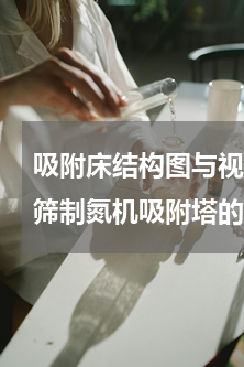 吸附床结构图与视频 谁有PSA 碳分子筛制氮机吸附塔的内部结构图