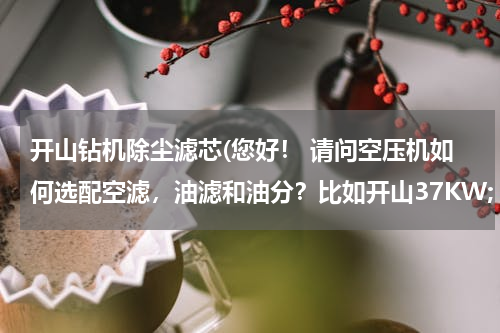开山钻机除尘滤芯(您好！ 请问空压机如何选配空滤，油滤和油分？比如开山37KW; 55KW的螺杆机，该选择多大的 空滤，油滤和油)