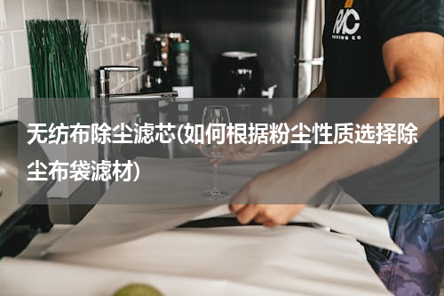 无纺布除尘滤芯(如何根据粉尘性质选择除尘布袋滤材)