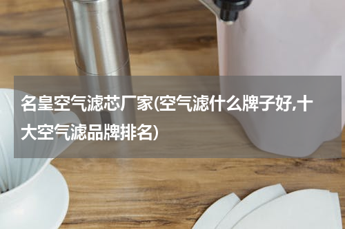 名皇空气滤芯厂家(空气滤什么牌子好,十大空气滤品牌排名)