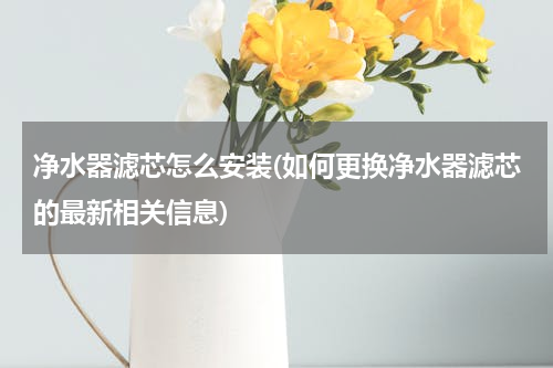 净水器滤芯怎么安装(如何更换净水器滤芯的最新相关信息)