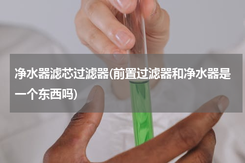 净水器滤芯过滤器(前置过滤器和净水器是一个东西吗)