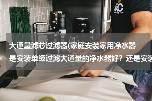大通量滤芯过滤器(家庭安装家用净水器 是安装单级过滤大通量的净水器好？还是安装多...)