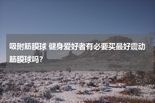 吸附筋膜球 健身爱好者有必要买最好震动筋膜球吗？