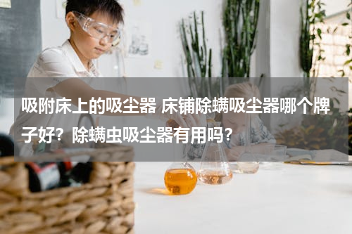 吸附床上的吸尘器 床铺除螨吸尘器哪个牌子好？除螨虫吸尘器有用吗？
