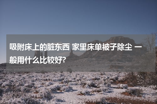 吸附床上的脏东西 家里床单被子除尘 一般用什么比较好?