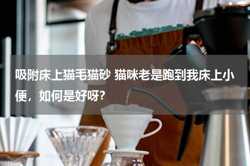 吸附床上猫毛猫砂 猫咪老是跑到我床上小便，如何是好呀？