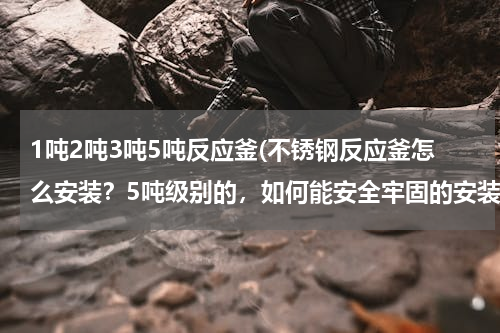 1吨2吨3吨5吨反应釜(不锈钢反应釜怎么安装？5吨级别的，如何能安全牢固的安装起来，以供使用)