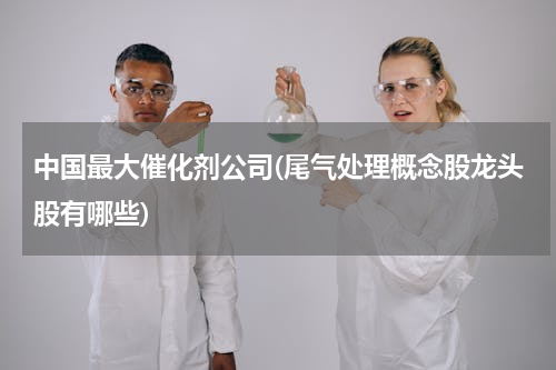 中国最大催化剂公司(尾气处理概念股龙头股有哪些)