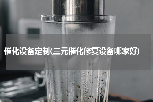 催化设备定制(三元催化修复设备哪家好)