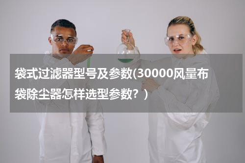 袋式过滤器型号及参数(30000风量布袋除尘器怎样选型参数？)