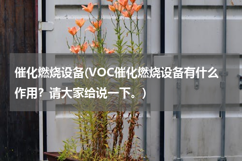 催化燃烧设备(VOC催化燃烧设备有什么作用？请大家给说一下。)