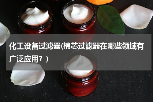 化工设备过滤器(棉芯过滤器在哪些领域有广泛应用？)