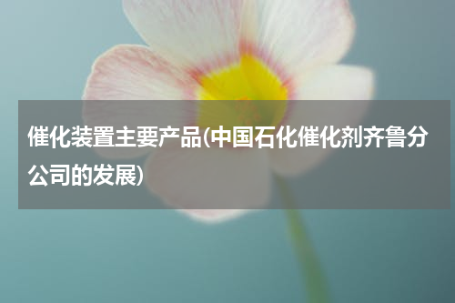 催化装置主要产品(中国石化催化剂齐鲁分公司的发展)