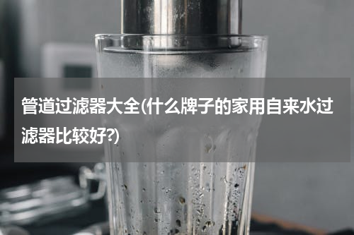 管道过滤器大全(什么牌子的家用自来水过滤器比较好?)