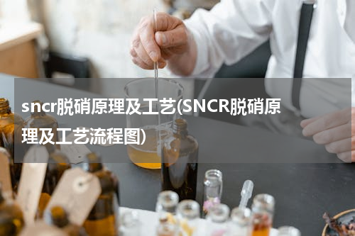 sncr脱硝原理及工艺(SNCR脱硝原理及工艺流程图)