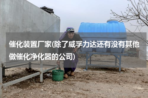 催化装置厂家(除了威孚力达还有没有其他做催化净化器的公司)