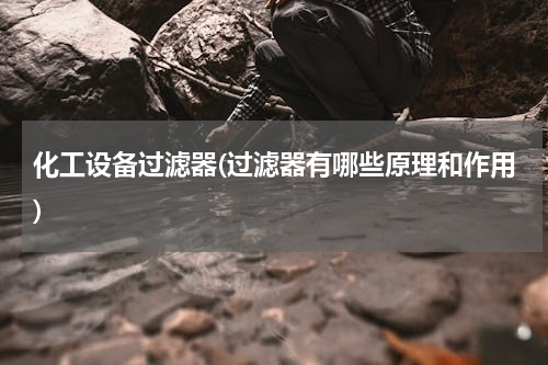 化工设备过滤器(过滤器有哪些原理和作用)
