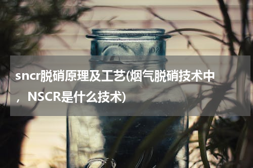 sncr脱硝原理及工艺(烟气脱硝技术中，NSCR是什么技术)