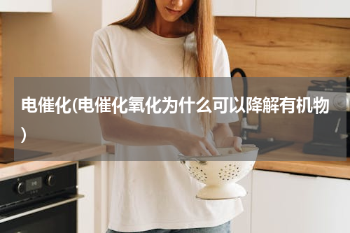 电催化(电催化氧化为什么可以降解有机物)