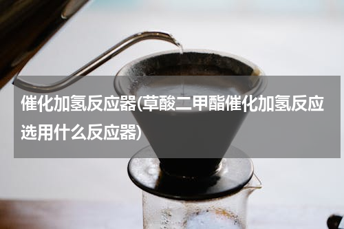 催化加氢反应器(草酸二甲酯催化加氢反应选用什么反应器)