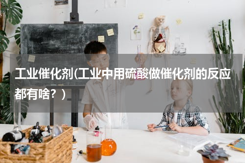 工业催化剂(工业中用硫酸做催化剂的反应都有啥？)