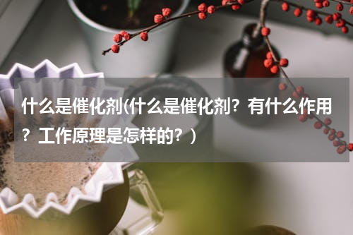 什么是催化剂(什么是催化剂？有什么作用？工作原理是怎样的？)