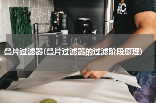 叠片过滤器(叠片过滤器的过滤阶段原理)