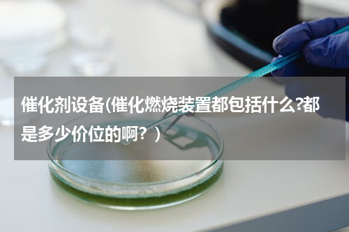 催化剂设备(催化燃烧装置都包括什么?都是多少价位的啊？)