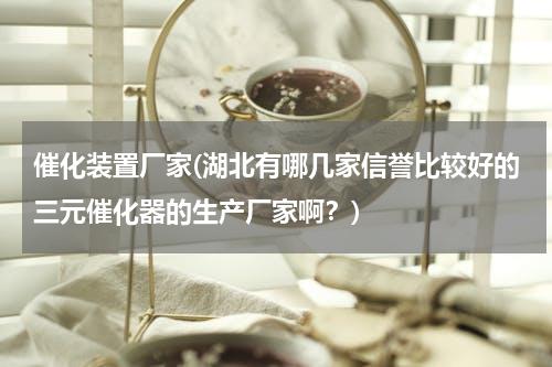 催化装置厂家(湖北有哪几家信誉比较好的三元催化器的生产厂家啊？)