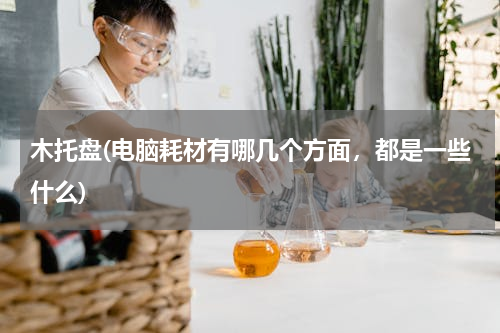 木托盘(电脑耗材有哪几个方面，都是一些什么)