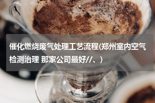 催化燃烧废气处理工艺流程(郑州室内空气检测治理 那家公司最好//、)