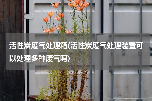活性炭废气处理箱(活性炭废气处理装置可以处理多种废气吗)
