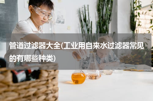 管道过滤器大全(工业用自来水过滤器常见的有哪些种类)