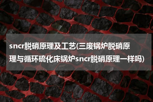 sncr脱硝原理及工艺(三废锅炉脱硝原理与循环硫化床锅炉sncr脱硝原理一样吗)