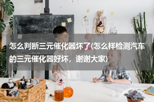 怎么判断三元催化器坏了(怎么样检测汽车的三元催化器好坏，谢谢大家)