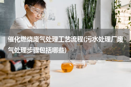 催化燃烧废气处理工艺流程(污水处理厂废气处理步骤包括哪些)