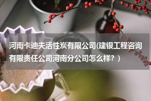 河南卡迪夫活性炭有限公司(建银工程咨询有限责任公司河南分公司怎么样？)