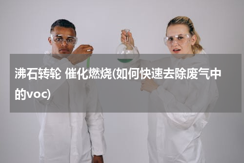 沸石转轮 催化燃烧(如何快速去除废气中的voc)