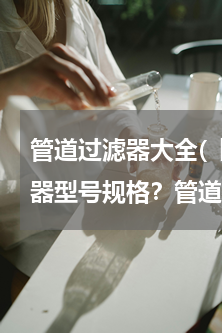 管道过滤器大全(【管道过滤器】管道过滤器型号规格？管道过滤器原理)