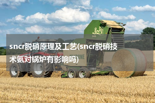 sncr脱硝原理及工艺(sncr脱硝技术氨对锅炉有影响吗)
